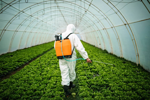 Best Pest Control Near Me in Chattahoochee, FL