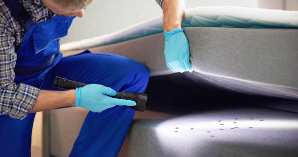 Best Wasp Removal Services  in Chattahoochee, FL