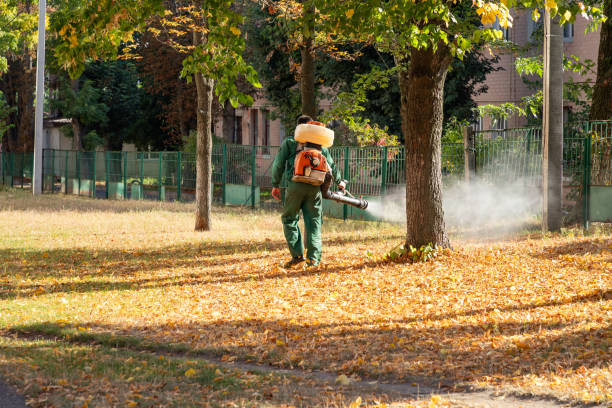 Best Emergency Pest Control  in Chattahoochee, FL