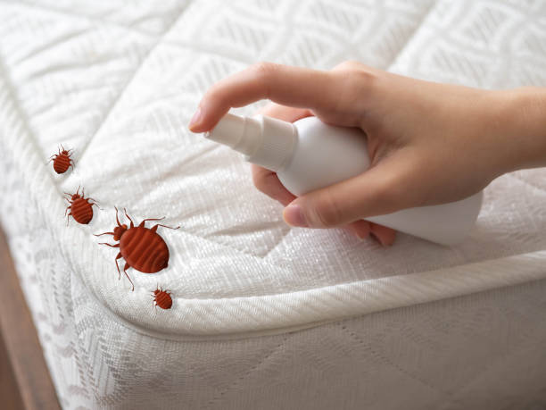 Best Pest Control Near Me  in Chattahoochee, FL